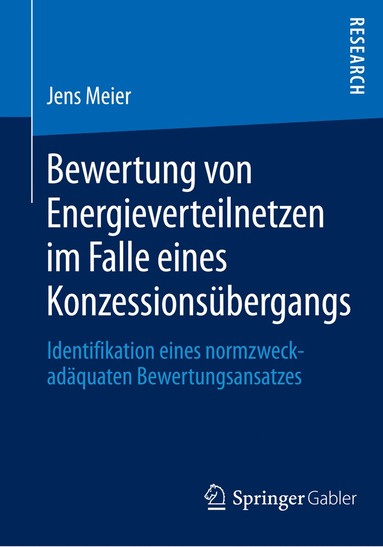 bokomslag Bewertung von Energieverteilnetzen im Falle eines Konzessionsübergangs