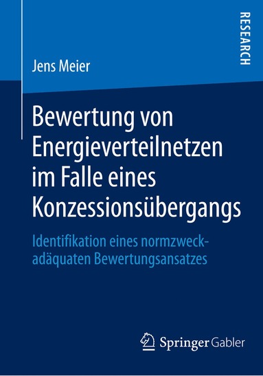 bokomslag Bewertung von Energieverteilnetzen im Falle eines Konzessionsubergangs