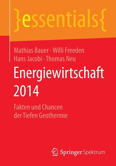 Mathias Bauer, Willi Freeden, Hans Jacobi, Thomas Neu - Energiewirtschaft 2014, Häftad