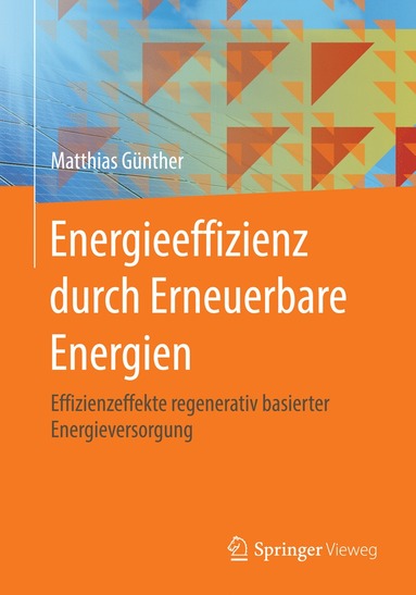 bokomslag Energieeffizienz durch Erneuerbare Energien