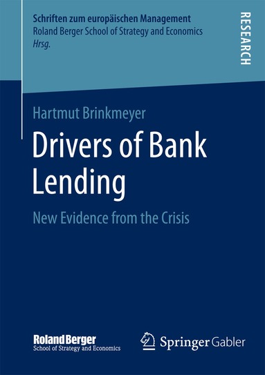 Hartmut Brinkmeyer - Drivers of Bank Lending, Häftad