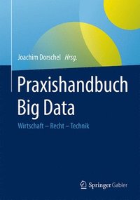 bokomslag Praxishandbuch Big Data