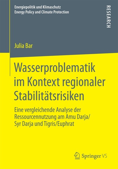 Julia Bar - Wasserproblematik im Kontext regionaler Stabilitätsrisiken, Häftad
