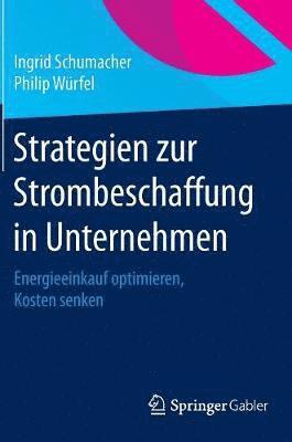 bokomslag Strategien zur Strombeschaffung in Unternehmen