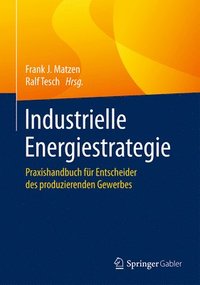 bokomslag Industrielle Energiestrategie
