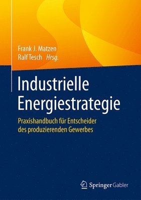 Industrielle Energiestrategie 1