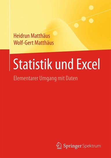 Heidrun Matthäus, Wolf-Gert Matthäus - Statistik und Excel, Häftad