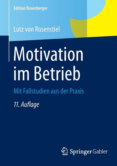 bokomslag Motivation im Betrieb