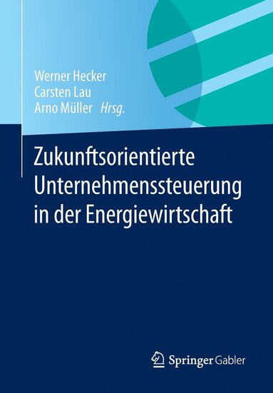 bokomslag Zukunftsorientierte Unternehmenssteuerung in der Energiewirtschaft