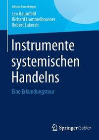 bokomslag Instrumente systemischen Handelns