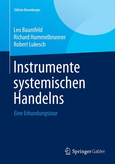 bokomslag Instrumente systemischen Handelns