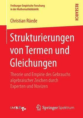 bokomslag Strukturierungen von Termen und Gleichungen