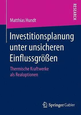 Investitionsplanung unter unsicheren Einflussgren 1