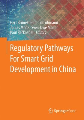 Regulatory Pathways For Smart Grid Development in China 1