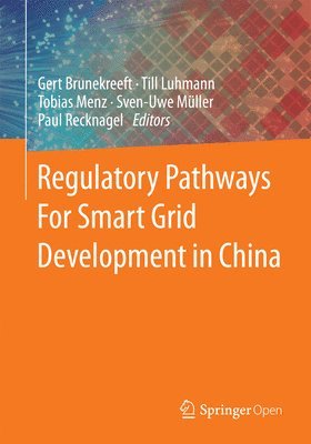 Gert Brunekreeft, Till Luhmann, Tobias Menz, Sven-Uwe Müller, Paul Recknagel - Regulatory Pathways For Smart Grid Development in China, Häftad