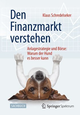 bokomslag Den Finanzmarkt verstehen