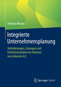 bokomslag Integrierte Unternehmensplanung