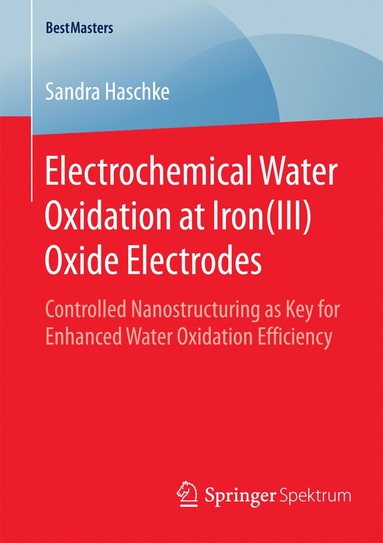 bokomslag Electrochemical Water Oxidation at Iron(III) Oxide Electrodes