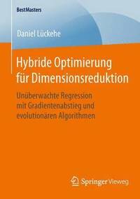 bokomslag Hybride Optimierung fr Dimensionsreduktion