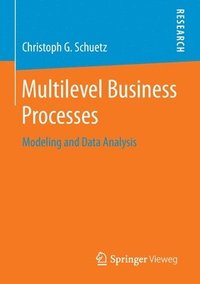 bokomslag Multilevel Business Processes