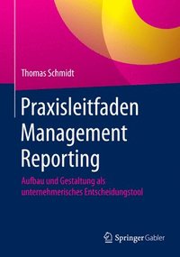 bokomslag Praxisleitfaden Management Reporting