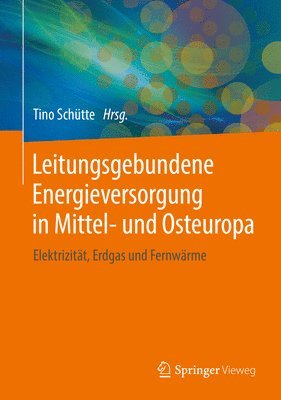 bokomslag Leitungsgebundene Energieversorgung in Mittel- und Osteuropa