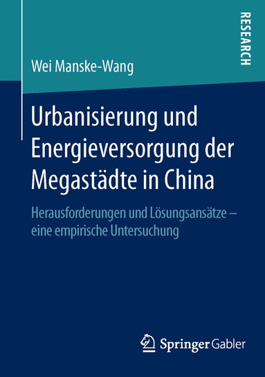 Wei Manske-Wang - Urbanisierung und Energieversorgung der Megastädte in China, Häftad