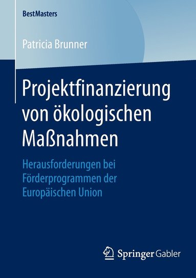 bokomslag Projektfinanzierung von kologischen Manahmen