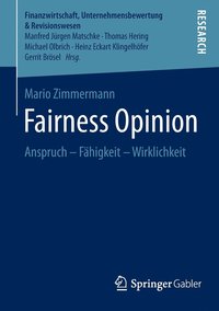 bokomslag Fairness Opinion