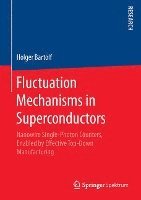 bokomslag Fluctuation Mechanisms in Superconductors