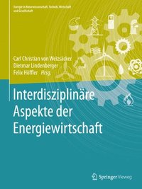 bokomslag Interdisziplinre Aspekte der Energiewirtschaft