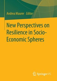 bokomslag New Perspectives on Resilience in Socio-Economic Spheres