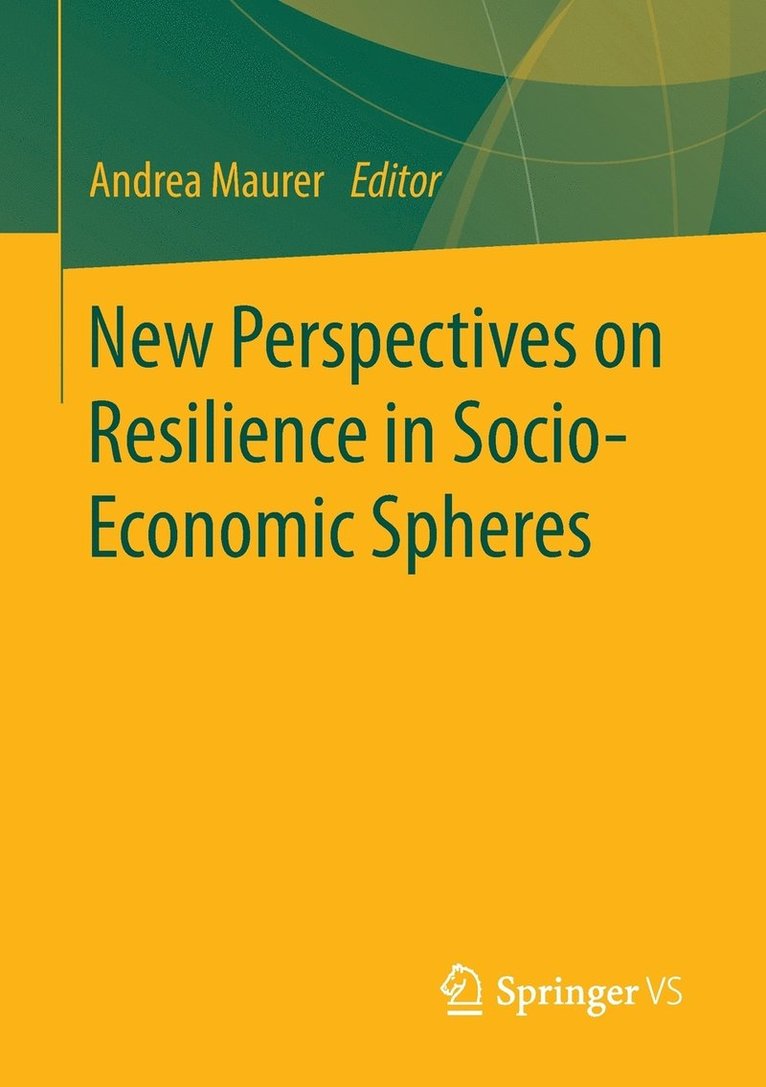 New Perspectives on Resilience in Socio-Economic Spheres 1