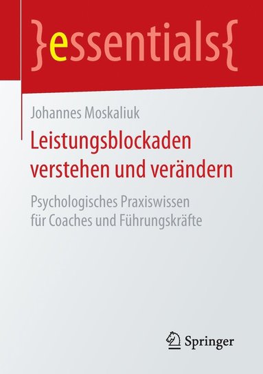 bokomslag Leistungsblockaden verstehen und verndern