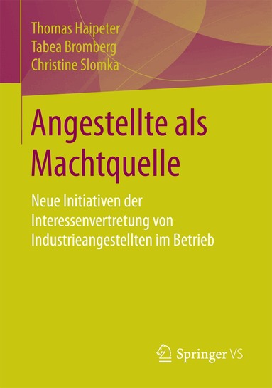 Thomas Haipeter, Tabea Bromberg, Christine Slomka - Angestellte als Machtquelle, Häftad