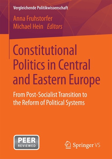 Anna Fruhstorfer, Michael Hein - Constitutional Politics in Central and Eastern Europe, Häftad