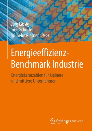 Jörg Lässig, Tino Schütte, Wilhelm Riesner - Energieeffizienz-Benchmark Industrie, Häftad