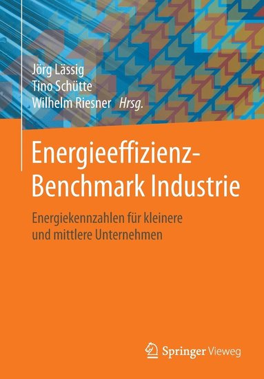 bokomslag Energieeffizienz-Benchmark Industrie