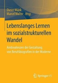 bokomslag Lebenslanges Lernen im sozialstrukturellen Wandel