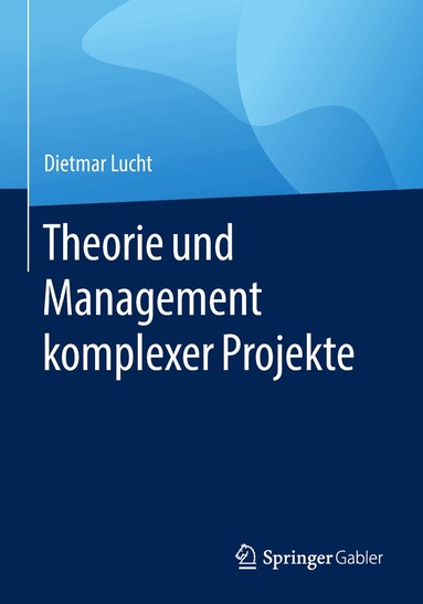 Dietmar Lucht - Theorie und Management komplexer Projekte, Häftad