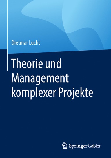 bokomslag Theorie und Management komplexer Projekte