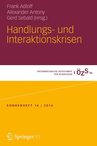 Frank Adloff, Alexander Antony, Gerd Sebald - Handlungs- und Interaktionskrisen, Häftad