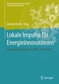 bokomslag Lokale Impulse fr Energieinnovationen