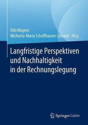 bokomslag Langfristige Perspektiven und Nachhaltigkeit in der Rechnungslegung