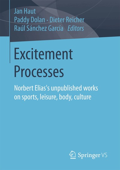 Jan Haut, Paddy Dolan, Dieter Reicher, Raúl Sánchez García - Excitement Processes, Häftad