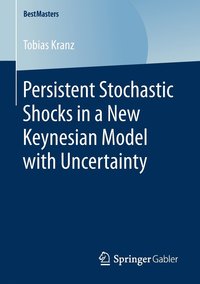 bokomslag Persistent Stochastic Shocks in a New Keynesian Model with Uncertainty