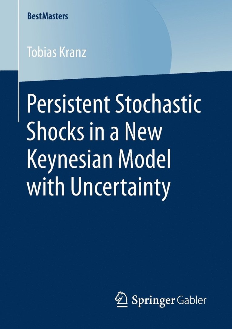 Tobias Kranz - Persistent Stochastic Shocks in a New Keynesian Model with Uncertainty, Häftad