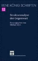 bokomslag Strukturanalyse der Gegenwart