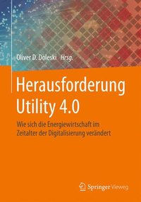 bokomslag Herausforderung Utility 4.0