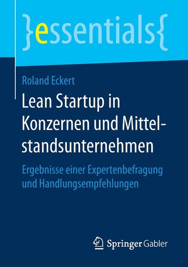 bokomslag Lean Startup in Konzernen und Mittelstandsunternehmen